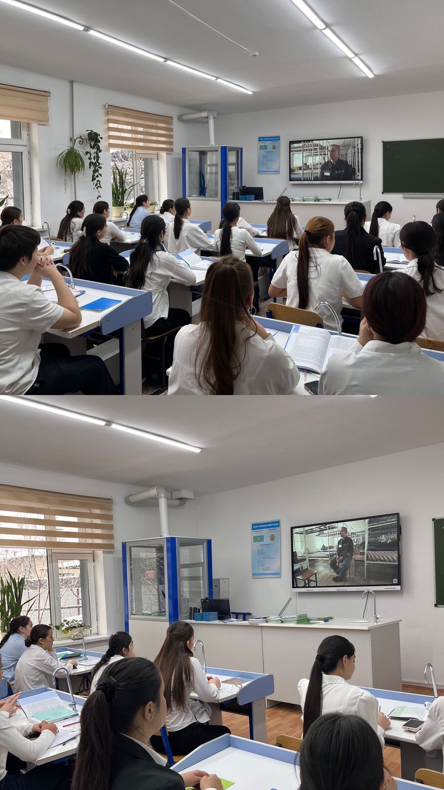 Описание изображения