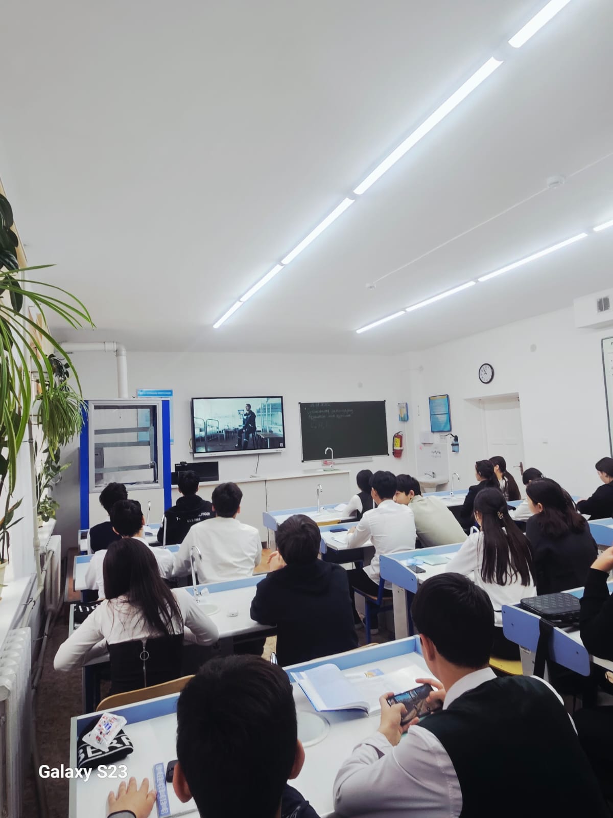 Описание изображения