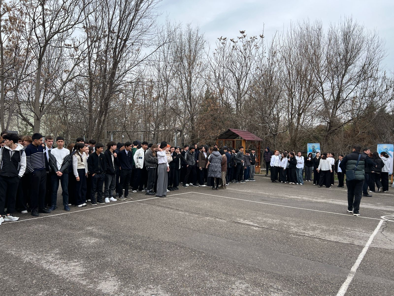 Описание изображения