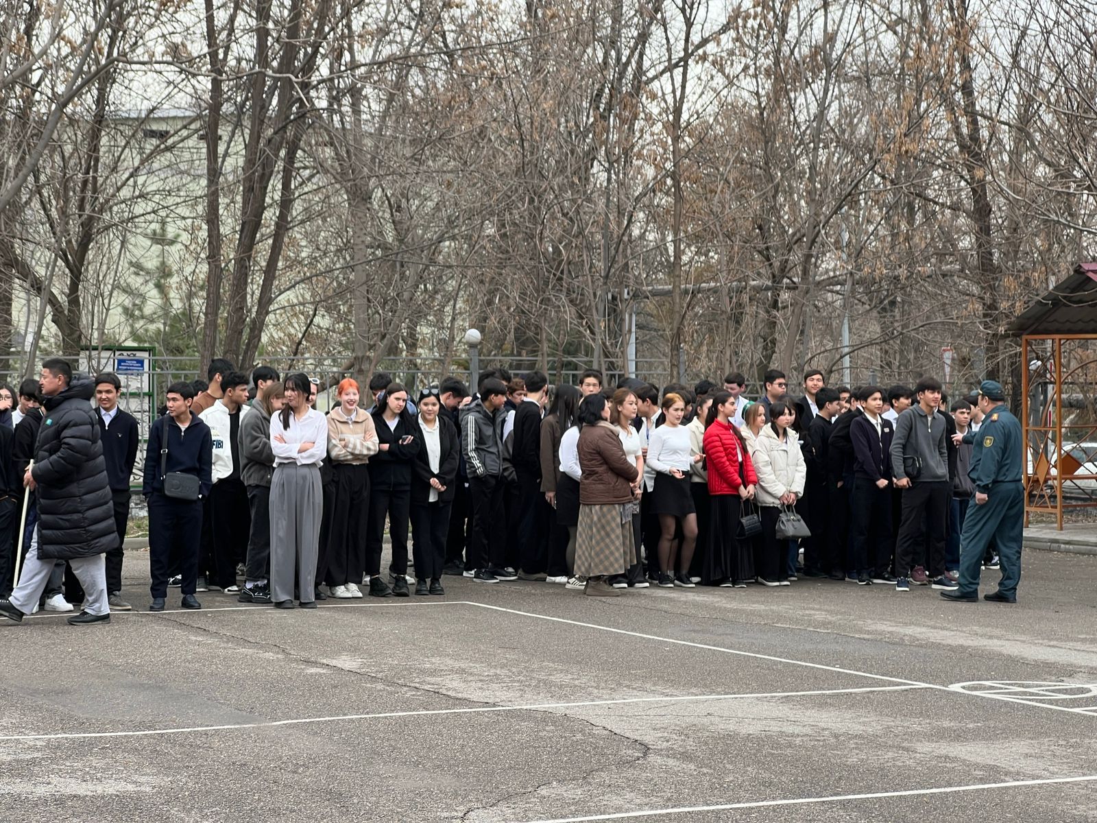 Описание изображения