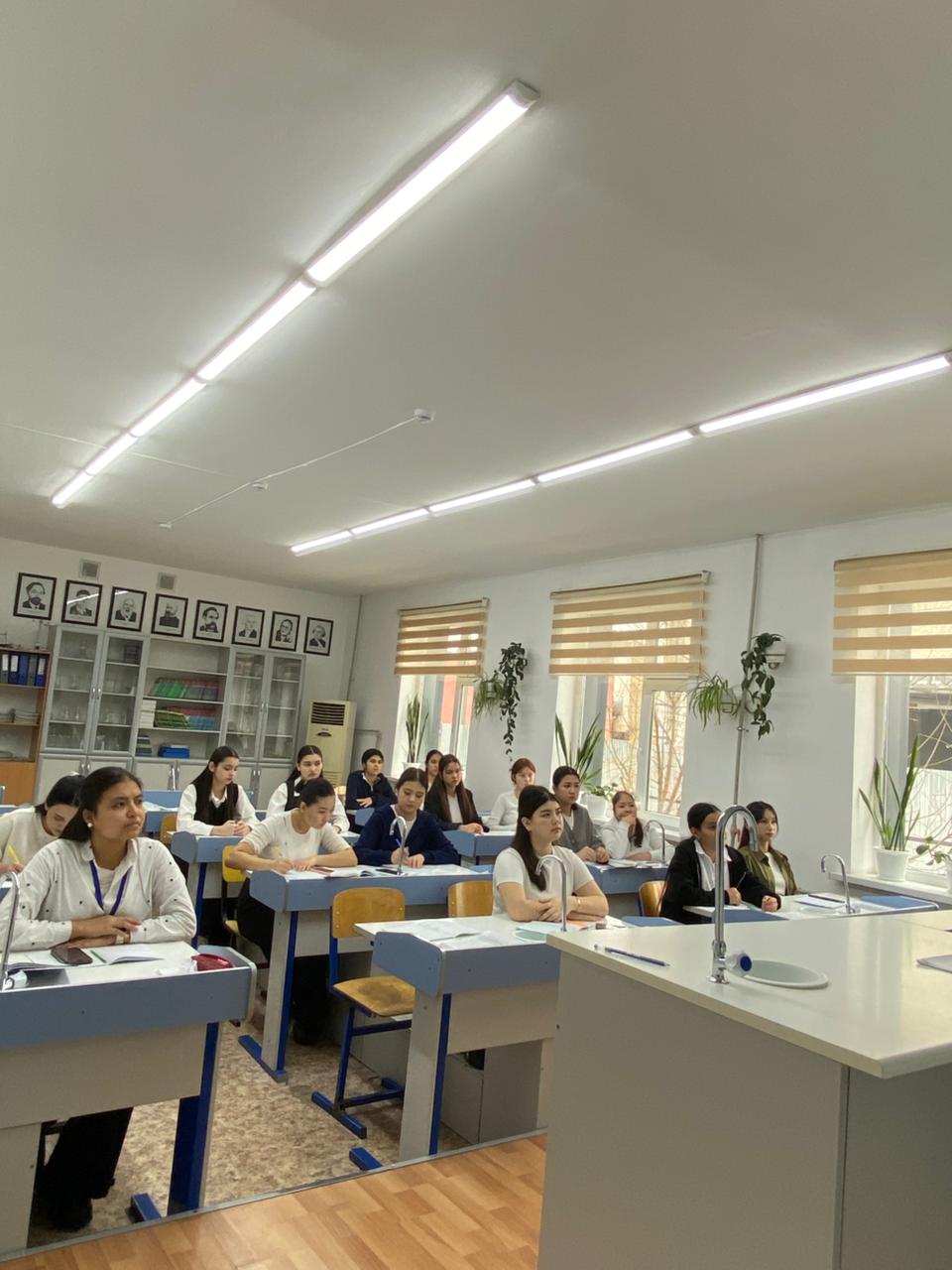 Описание изображения