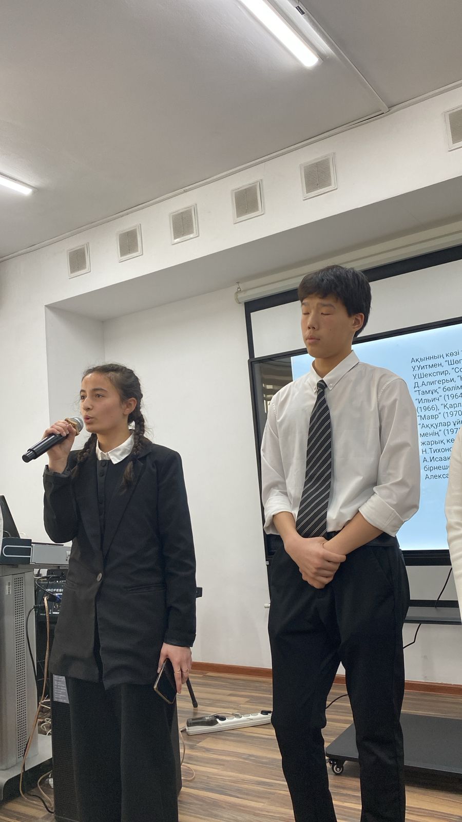 Описание изображения