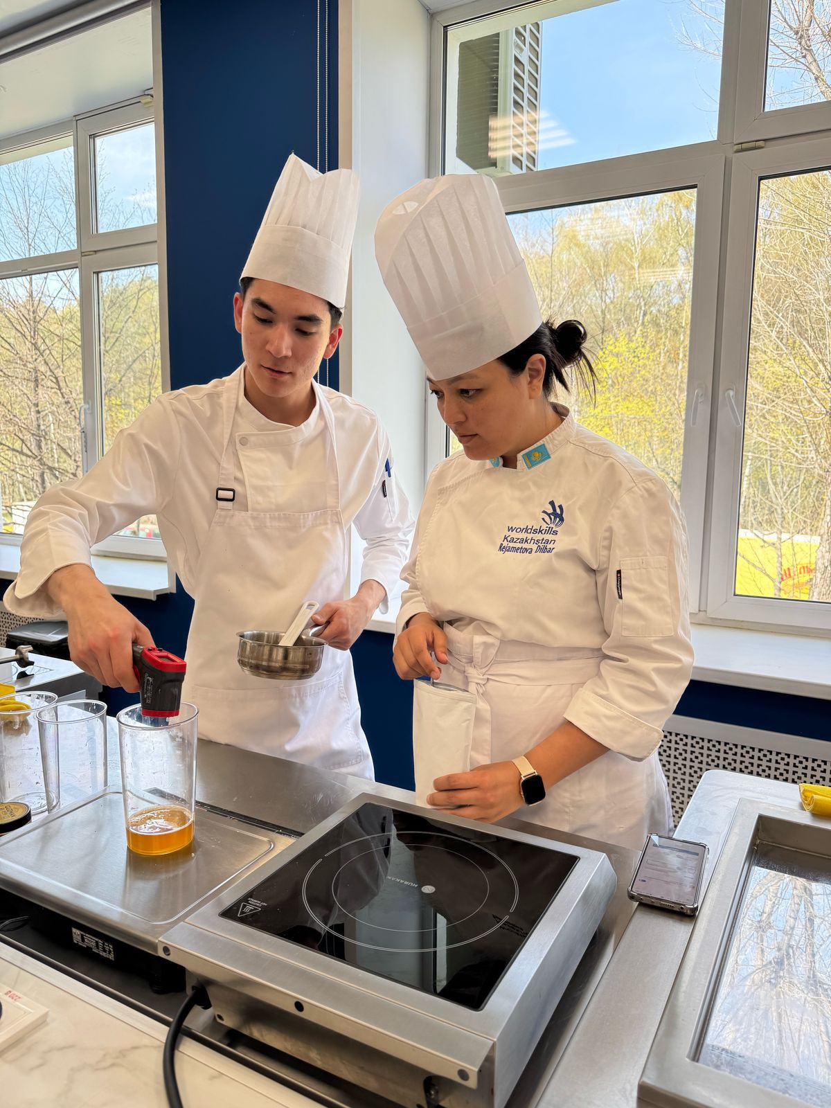 Описание изображения