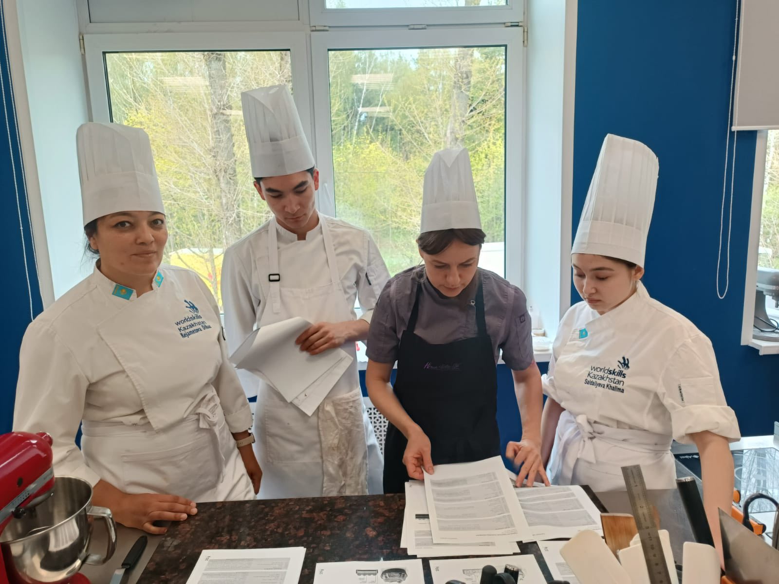 Описание изображения