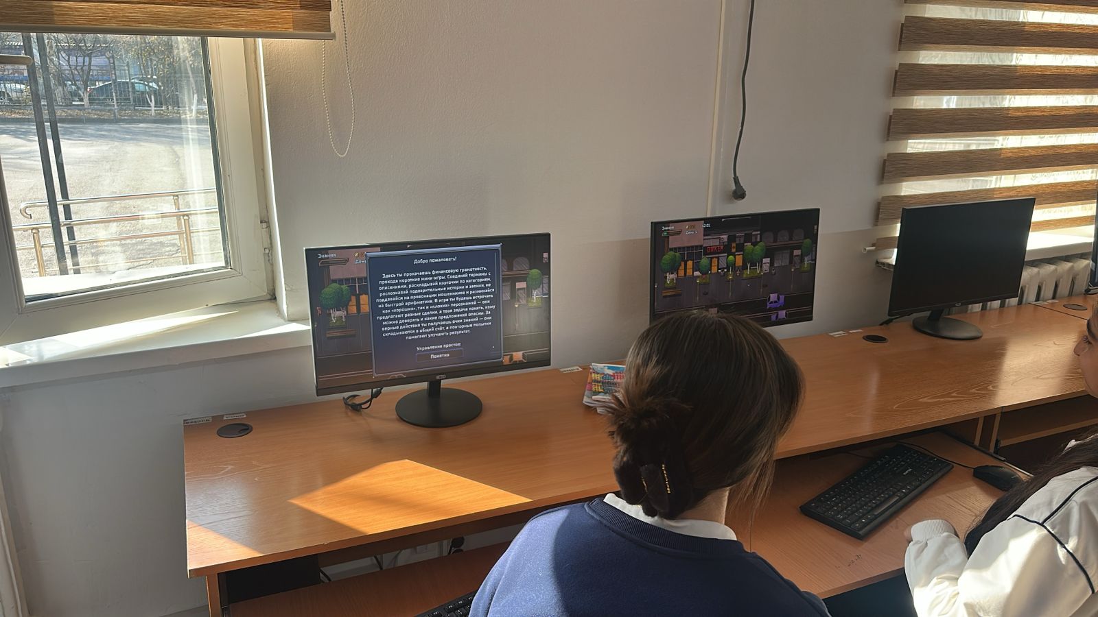 Описание изображения