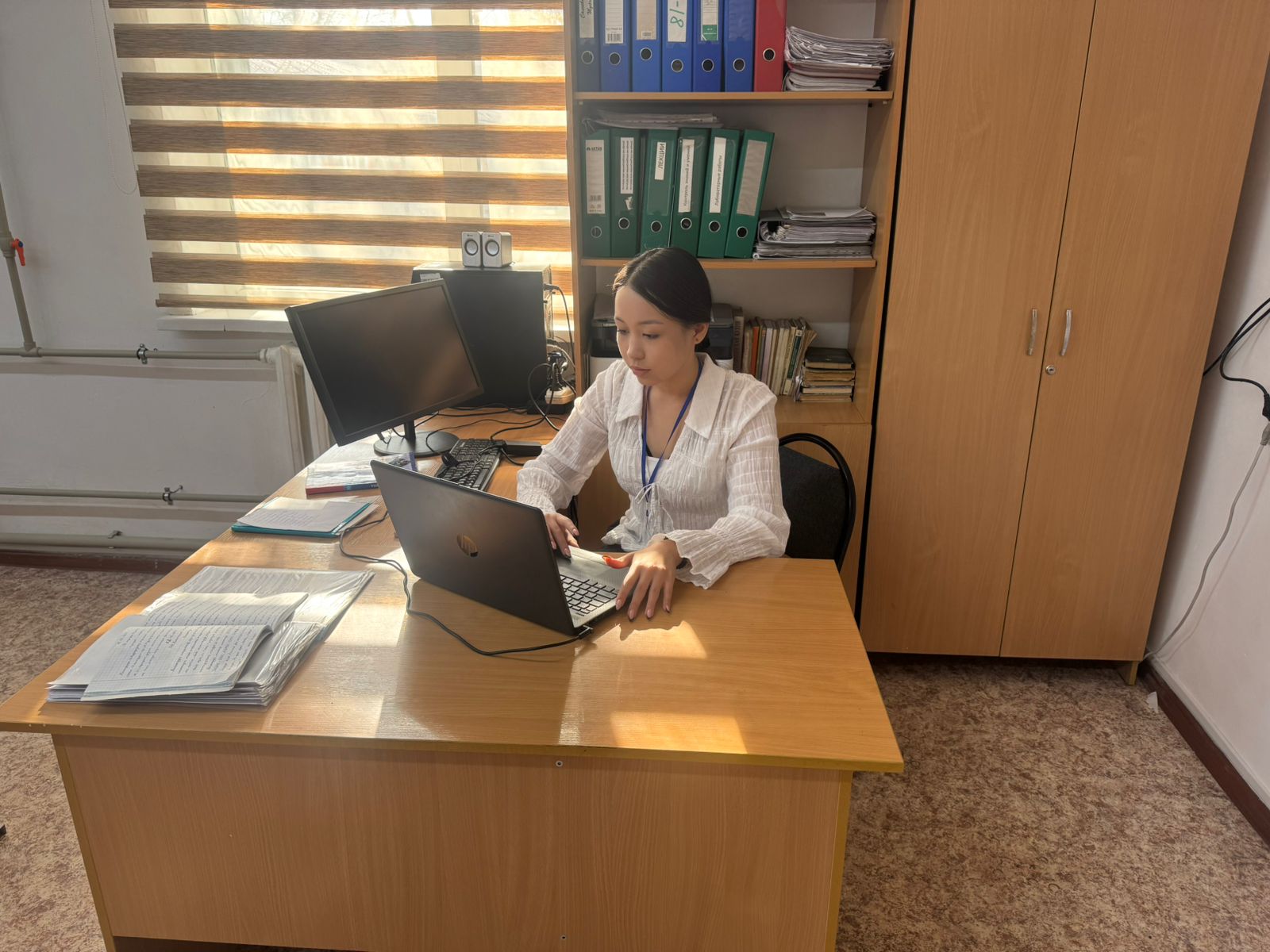 Описание изображения