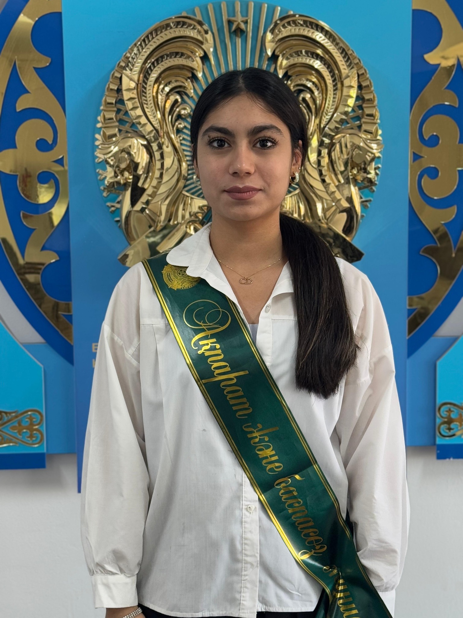 Описание изображения