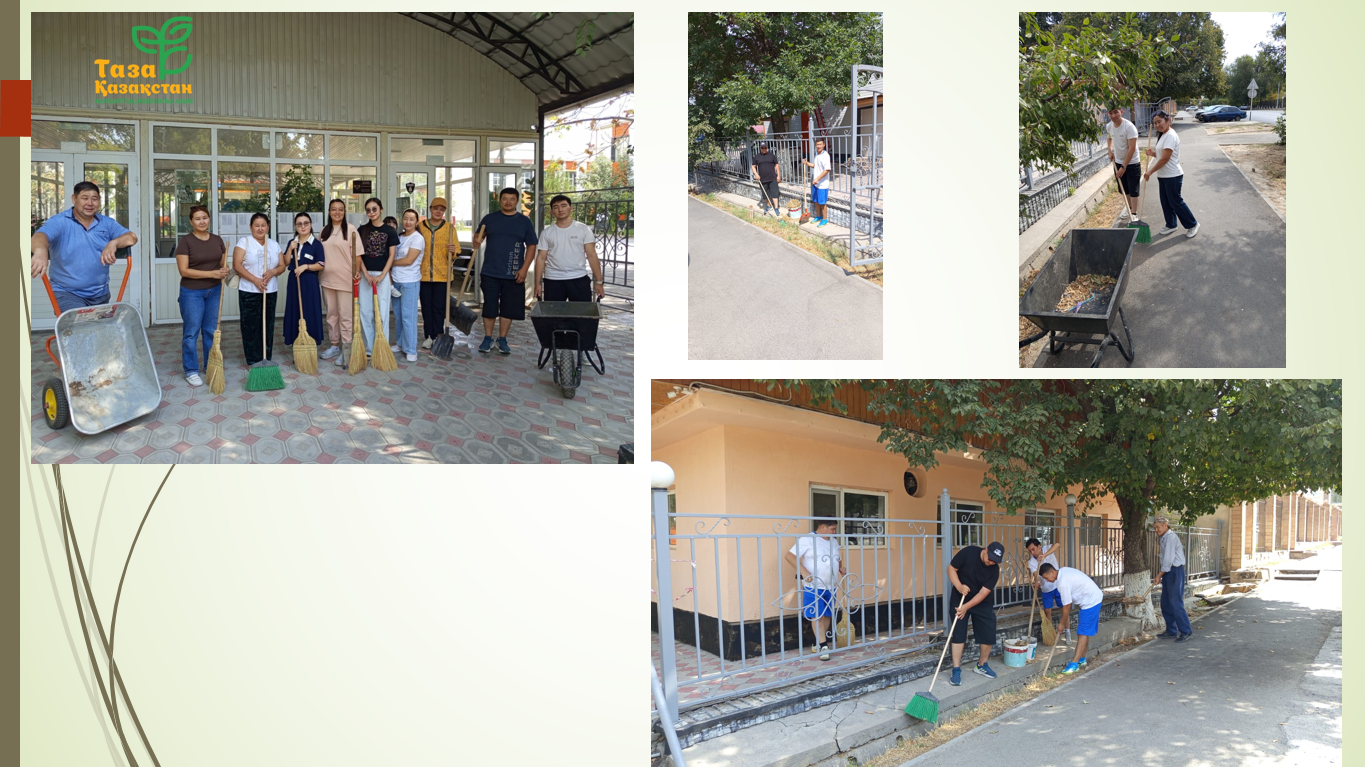 Описание изображения