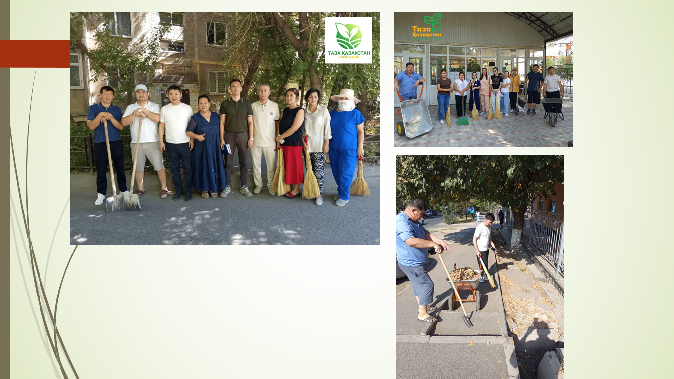 Описание изображения