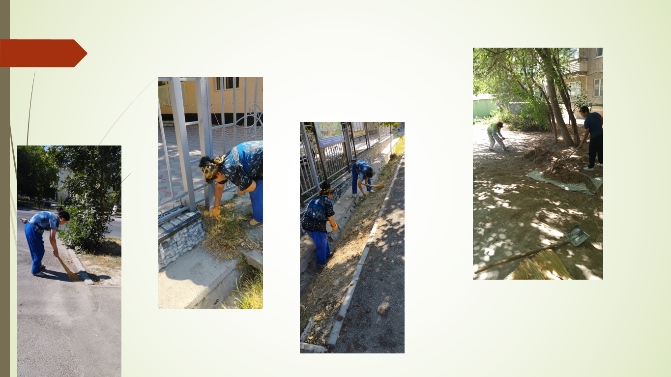 Описание изображения