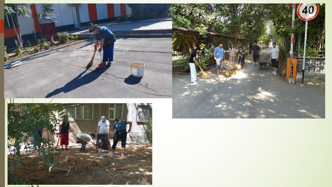 Описание изображения