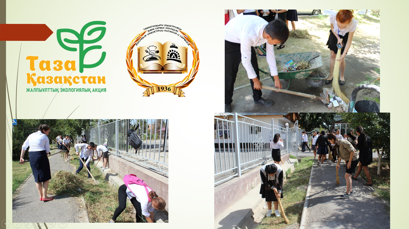 Описание изображения