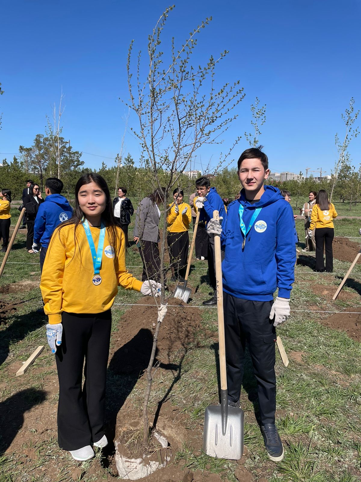 Описание изображения