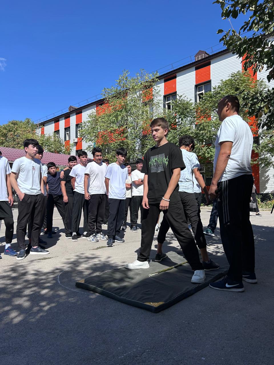 Описание изображения