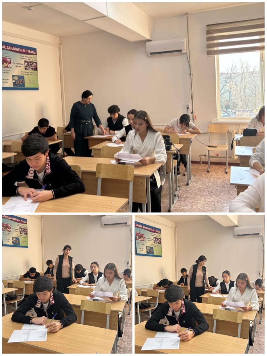 Описание изображения