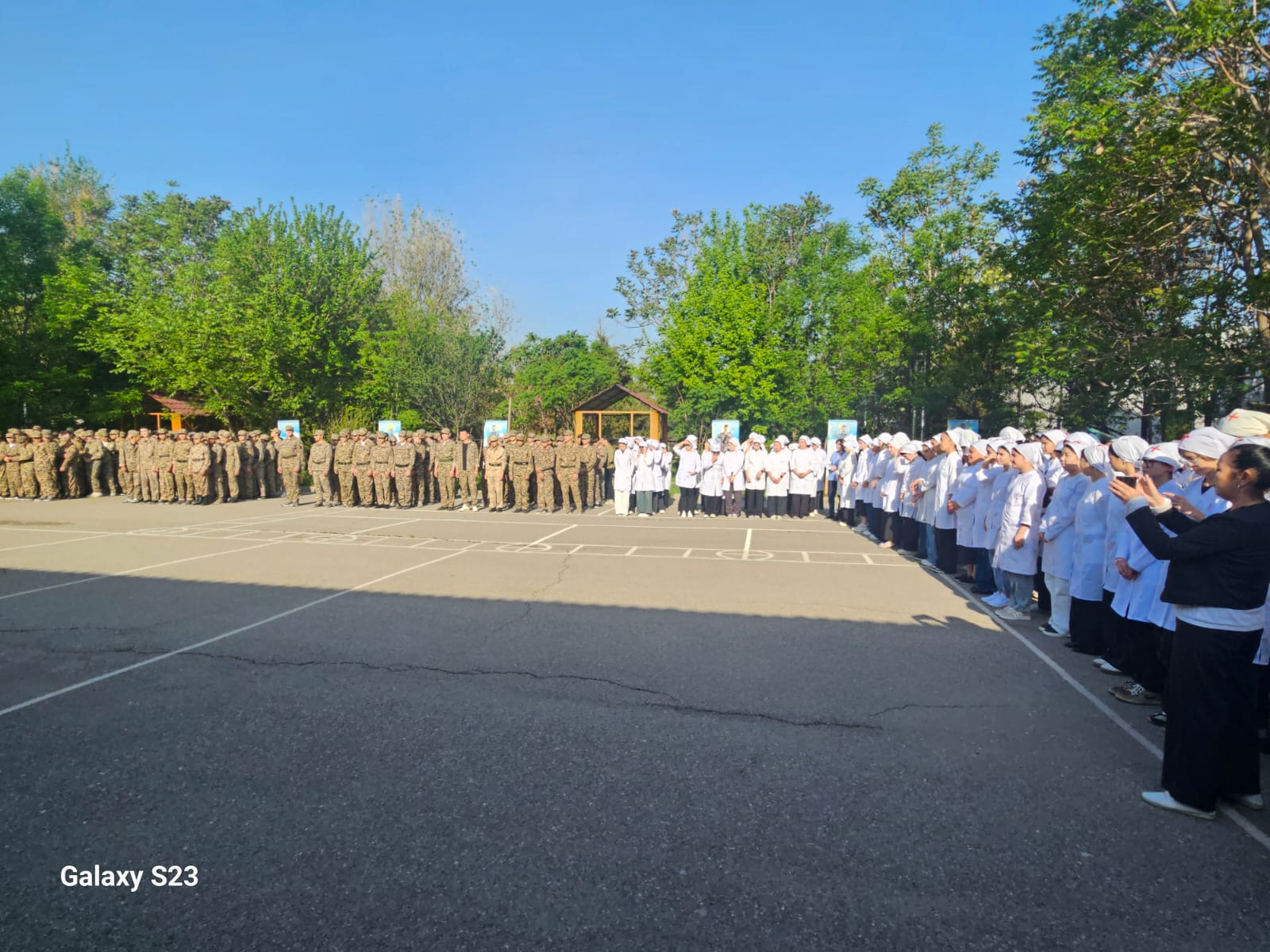 Описание изображения