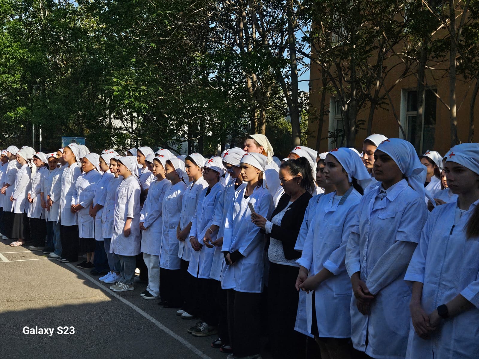 Описание изображения