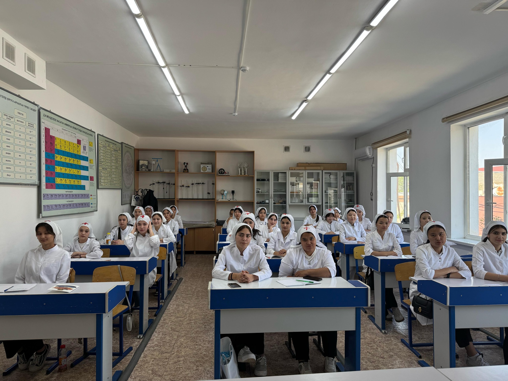 Описание изображения