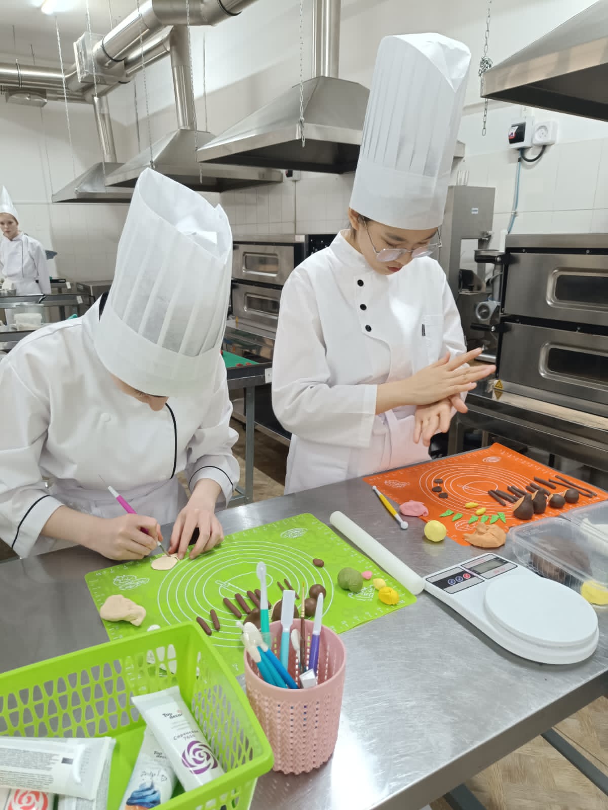 Описание изображения