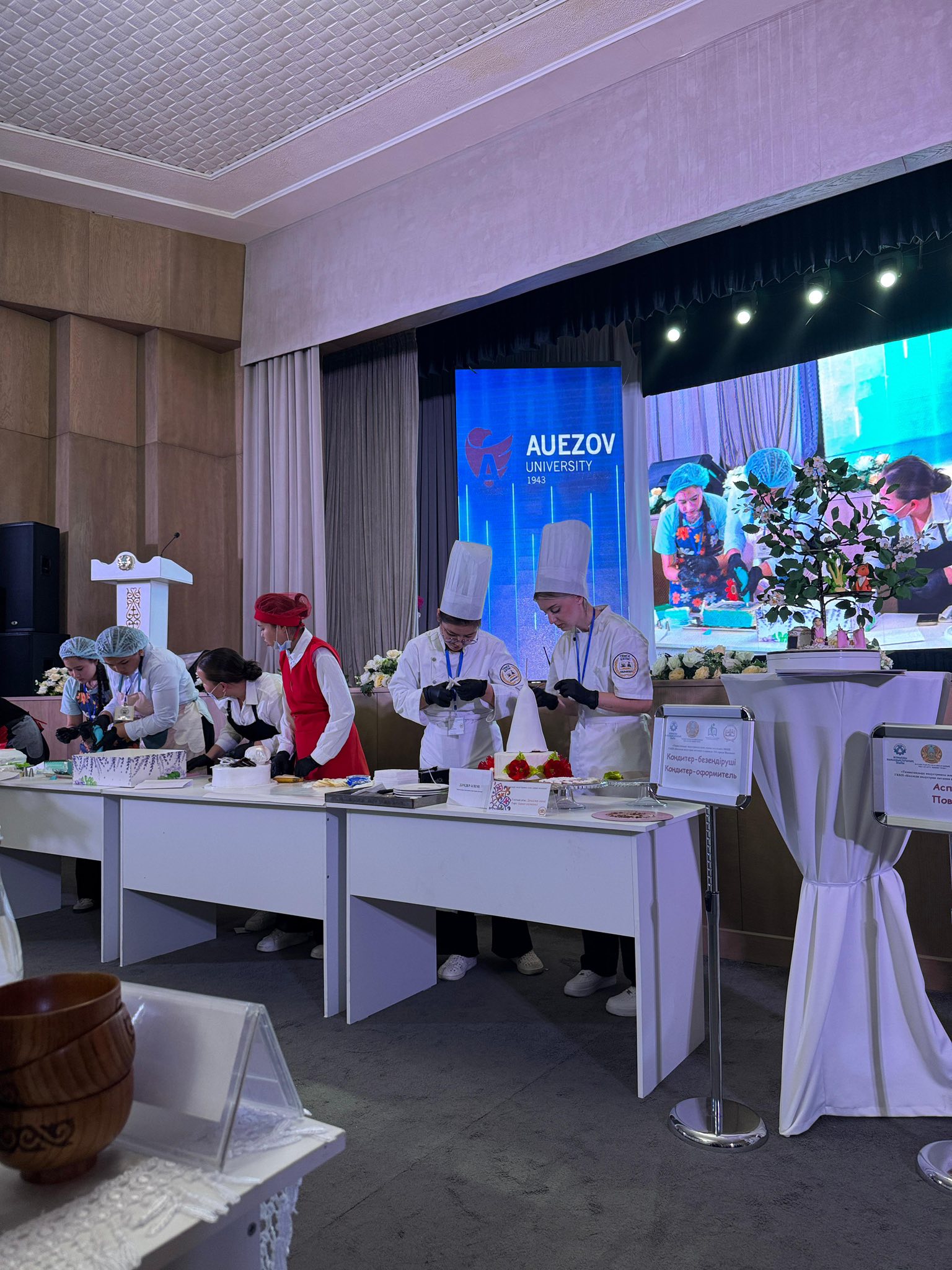 Описание изображения