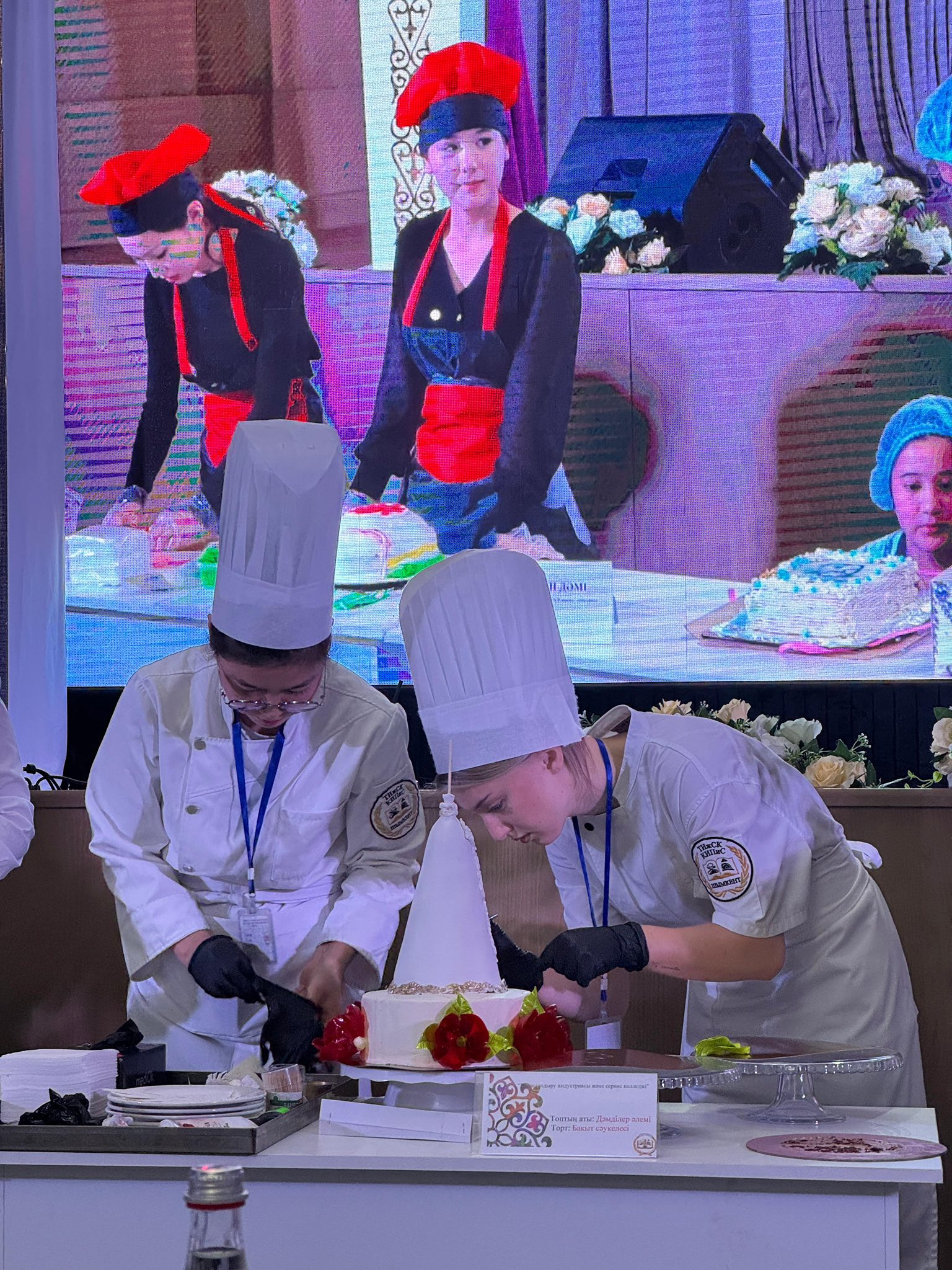 Описание изображения