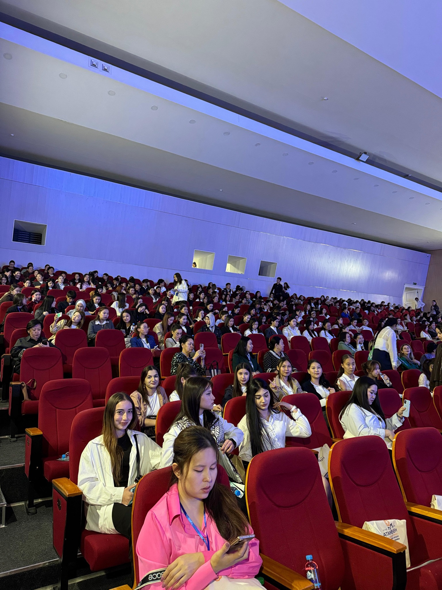 Описание изображения