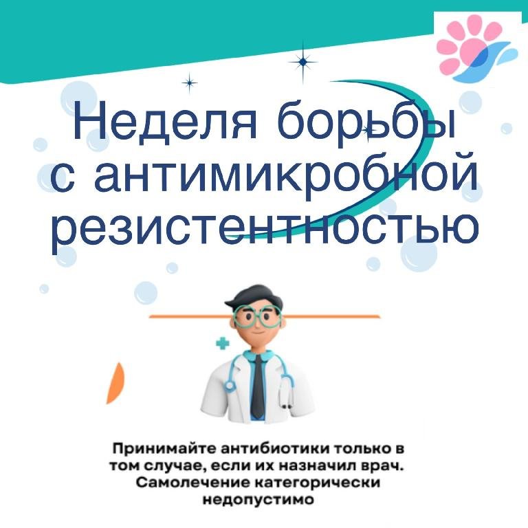 Описание изображения