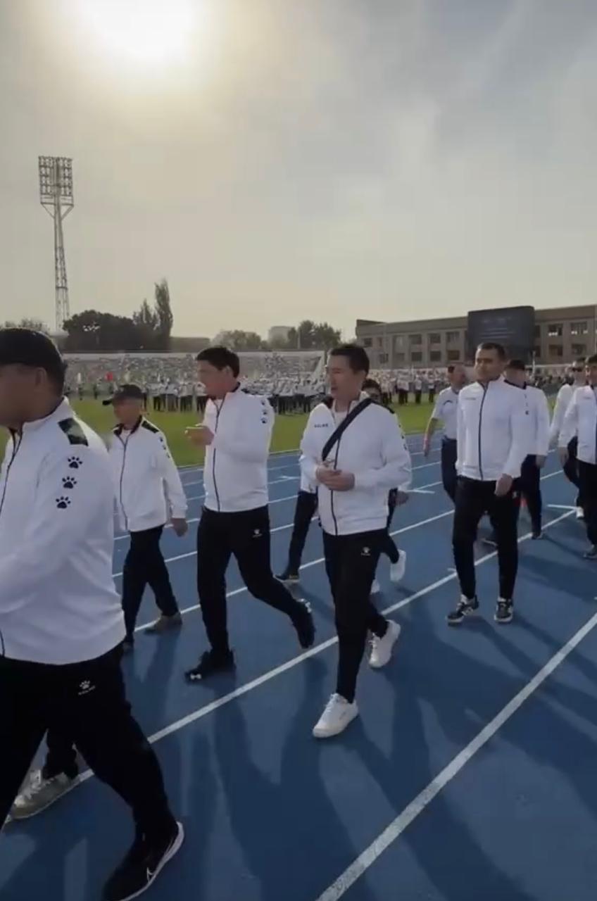 Описание изображения