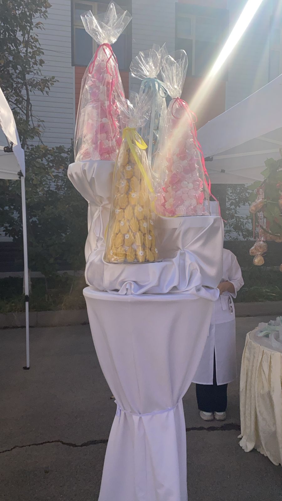 Описание изображения