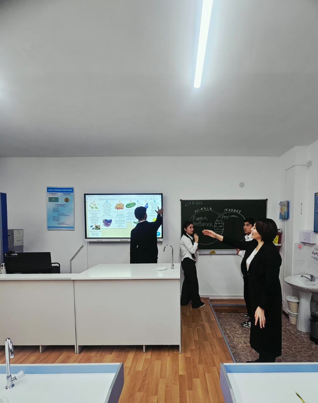 Описание изображения