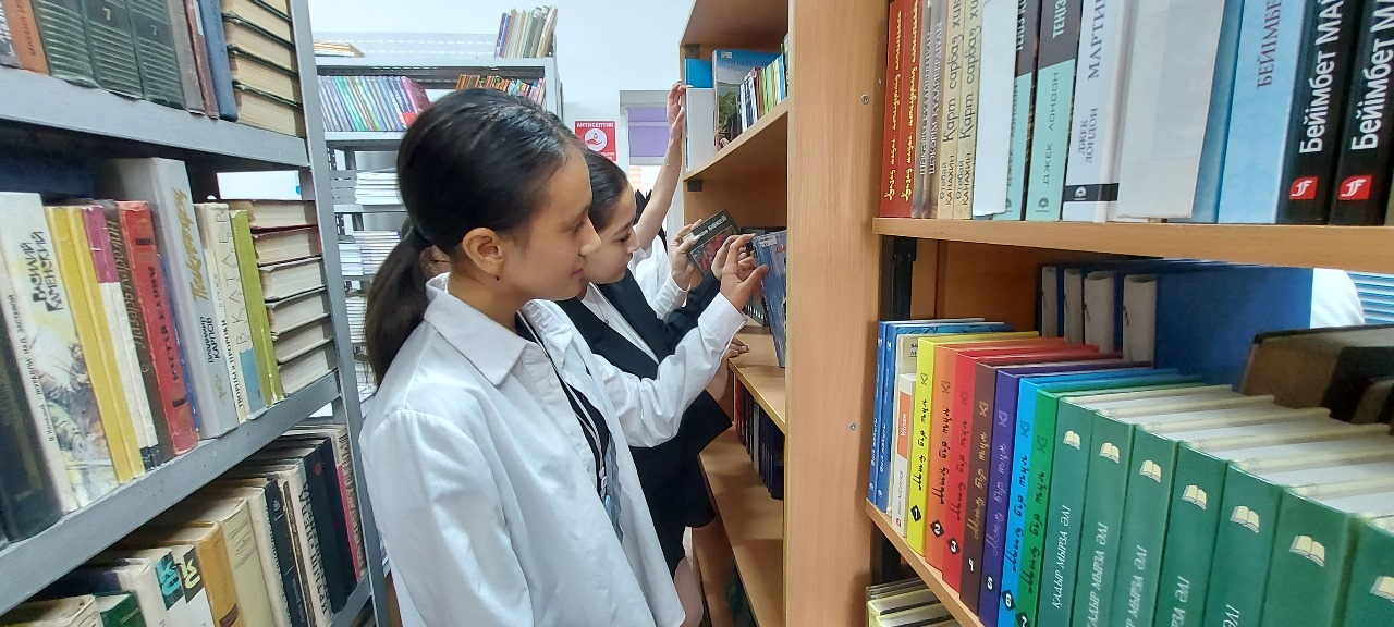 Описание изображения