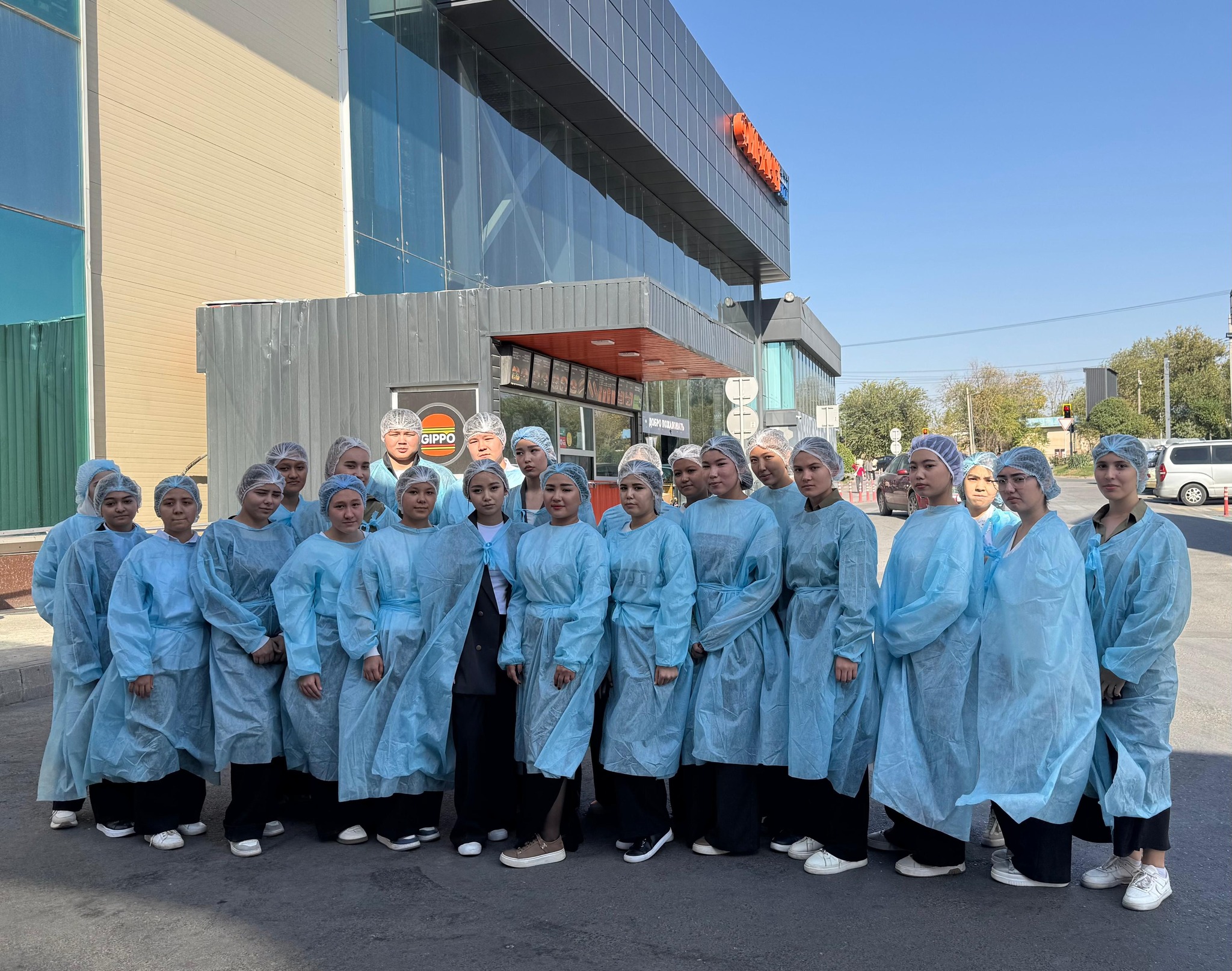 Описание изображения