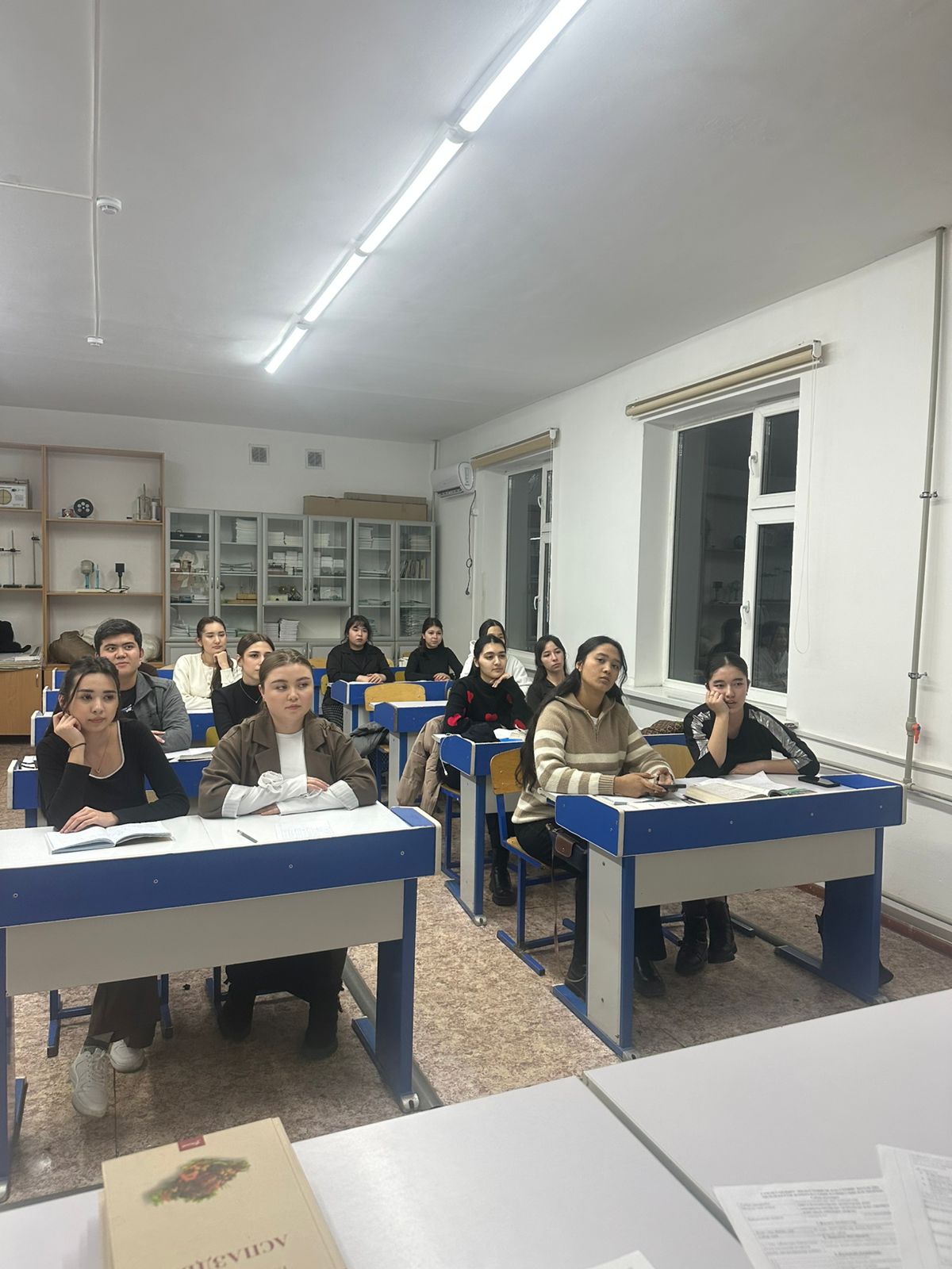 Описание изображения