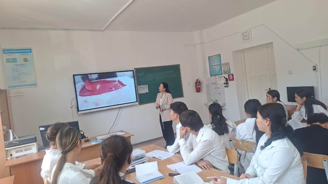 Описание изображения