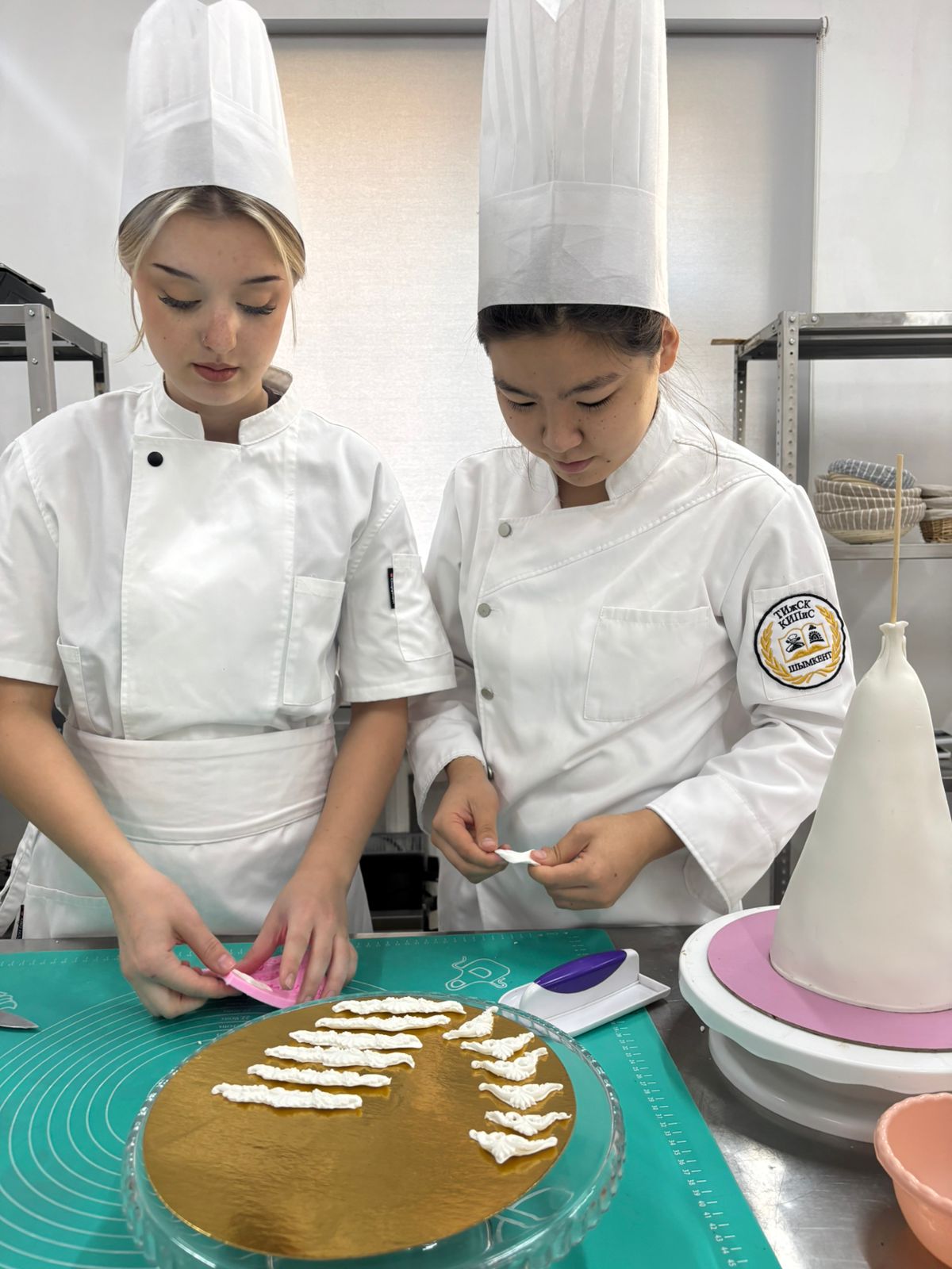 Описание изображения