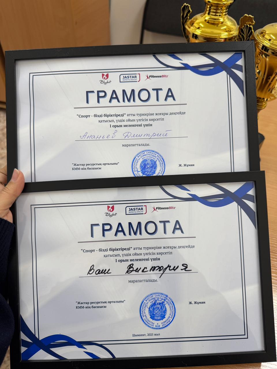 Описание изображения