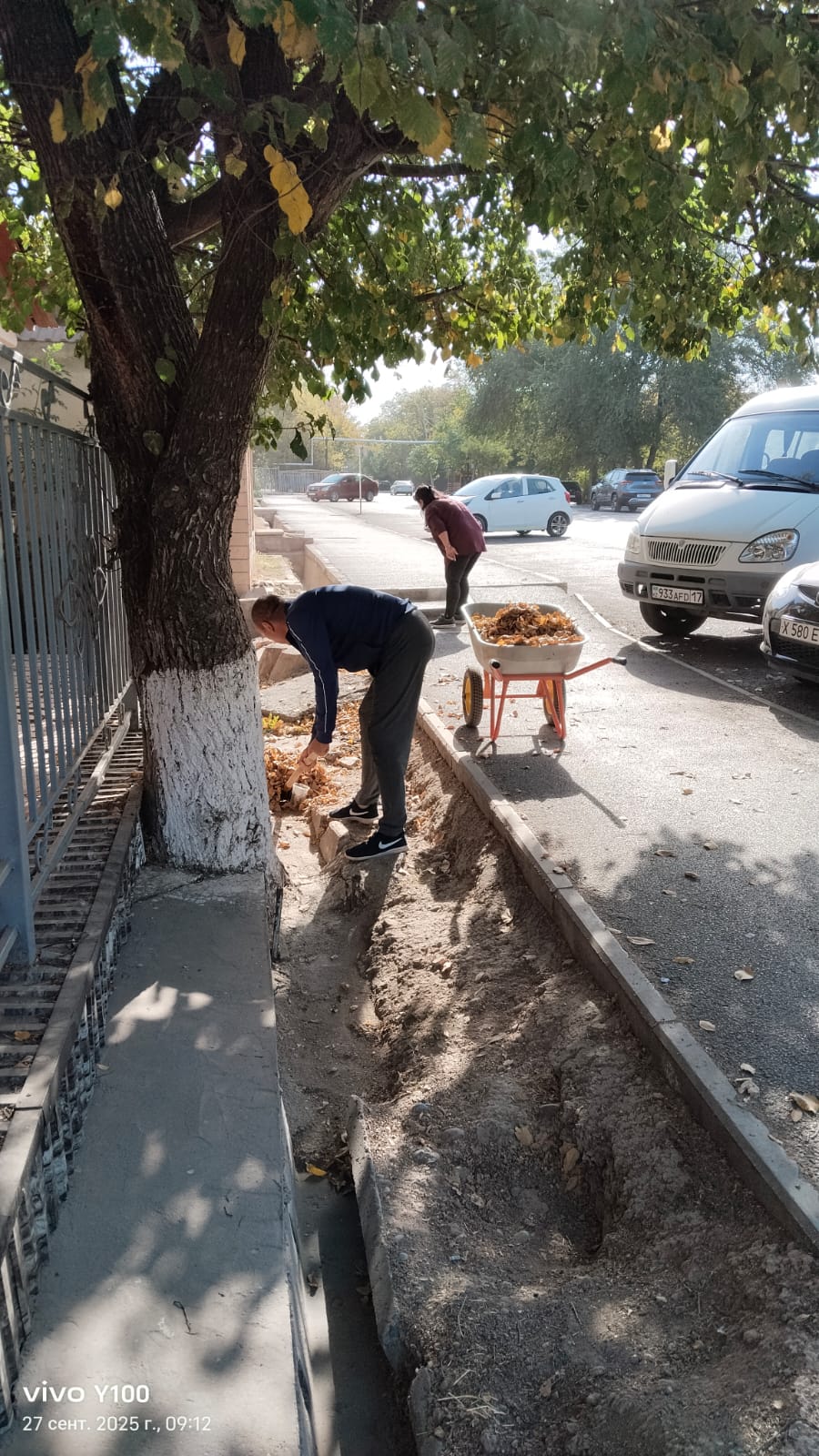 Описание изображения