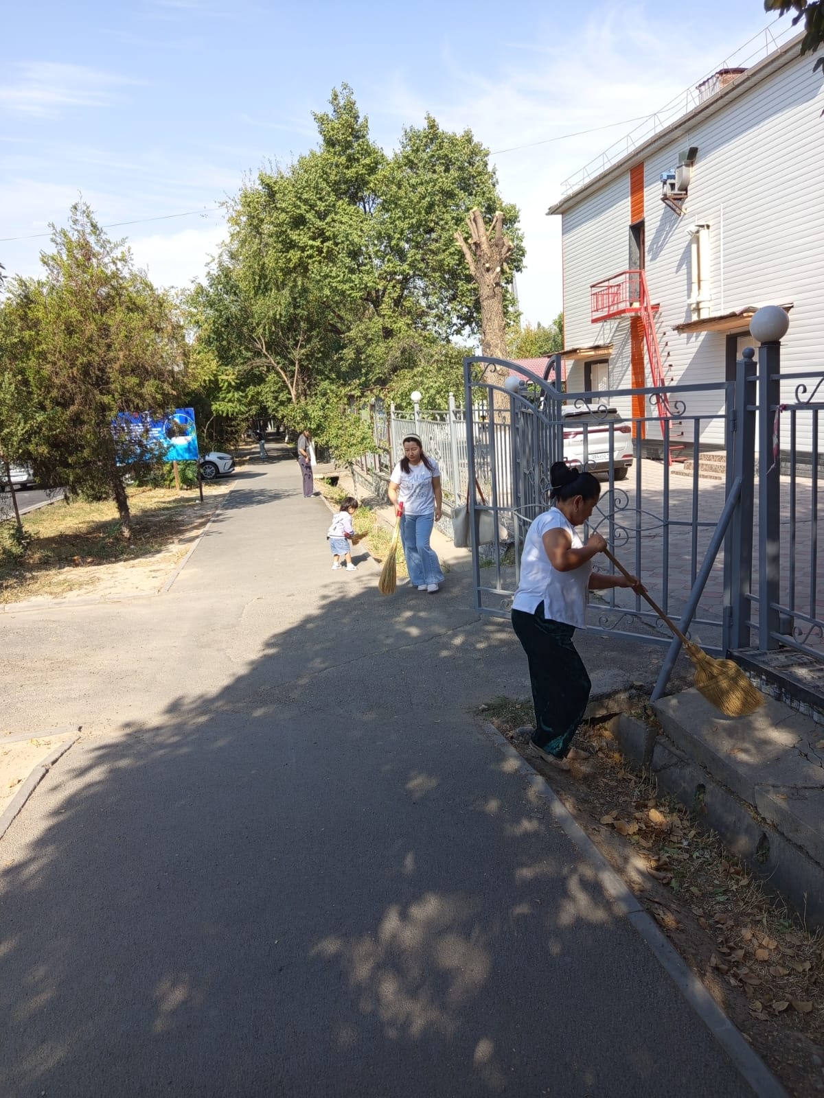 Описание изображения