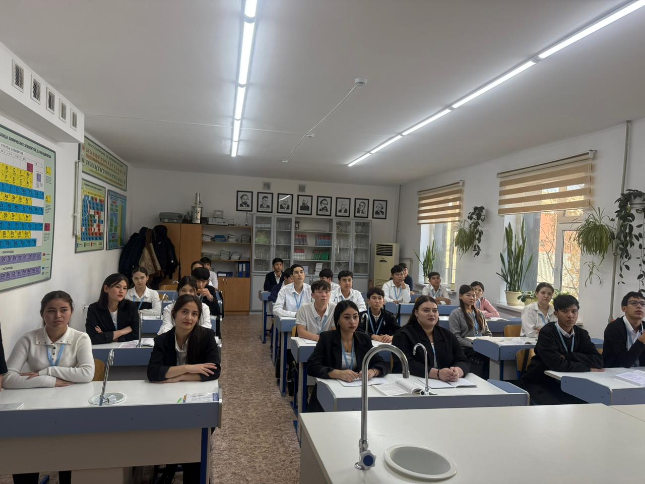 Описание изображения