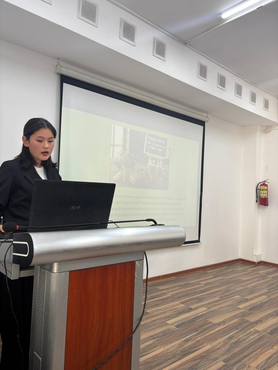 Описание изображения