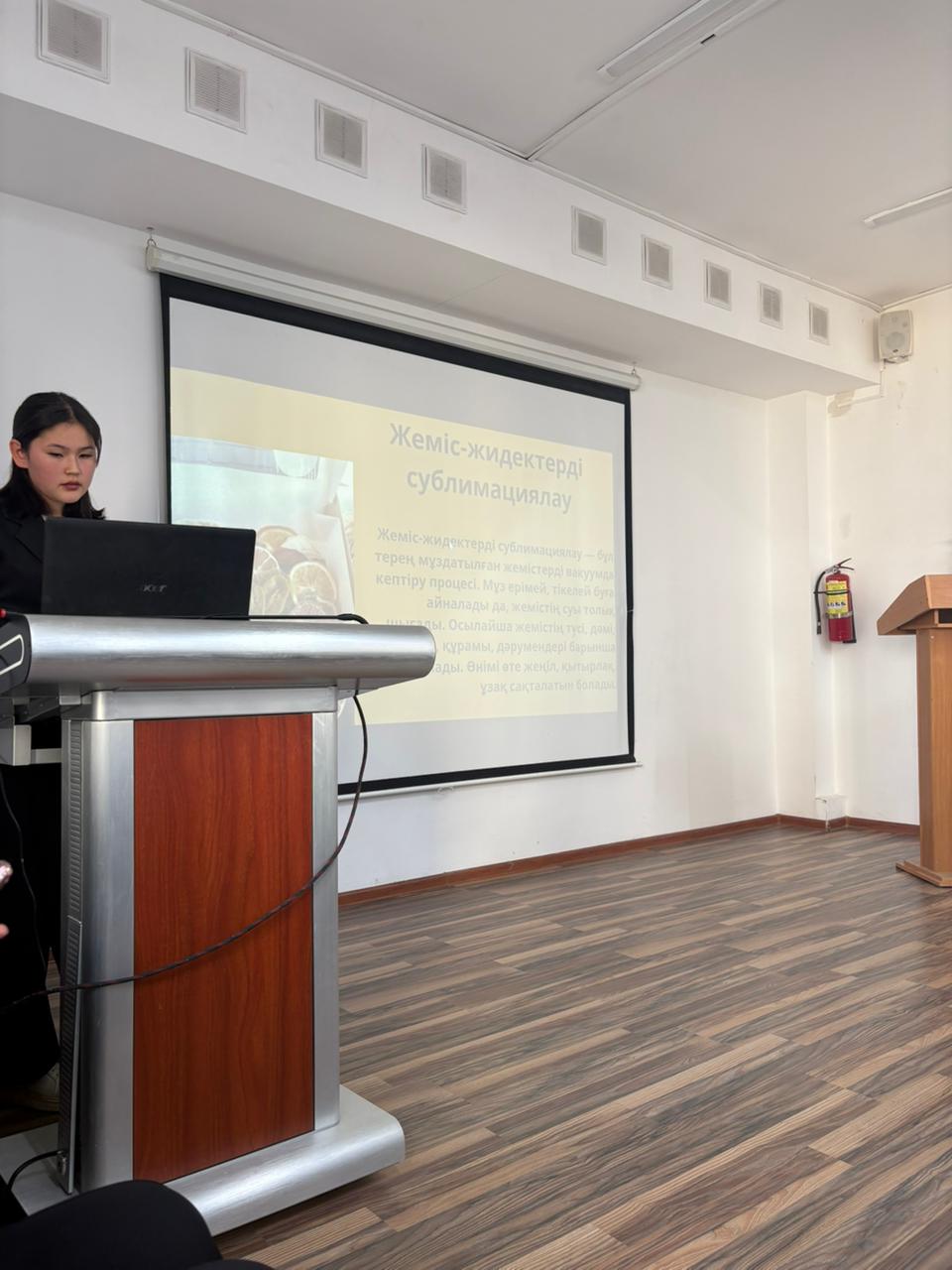 Описание изображения