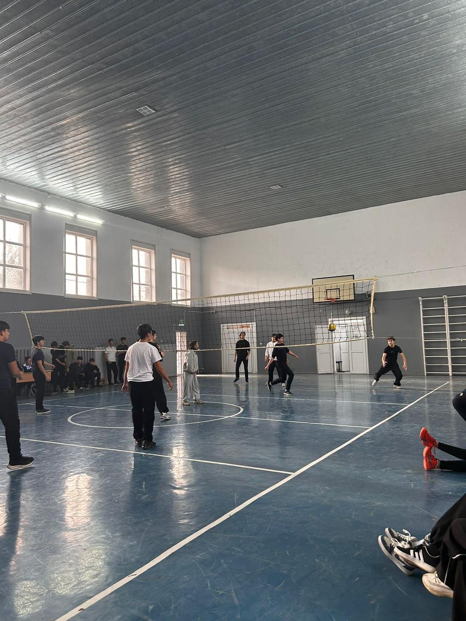 Описание изображения