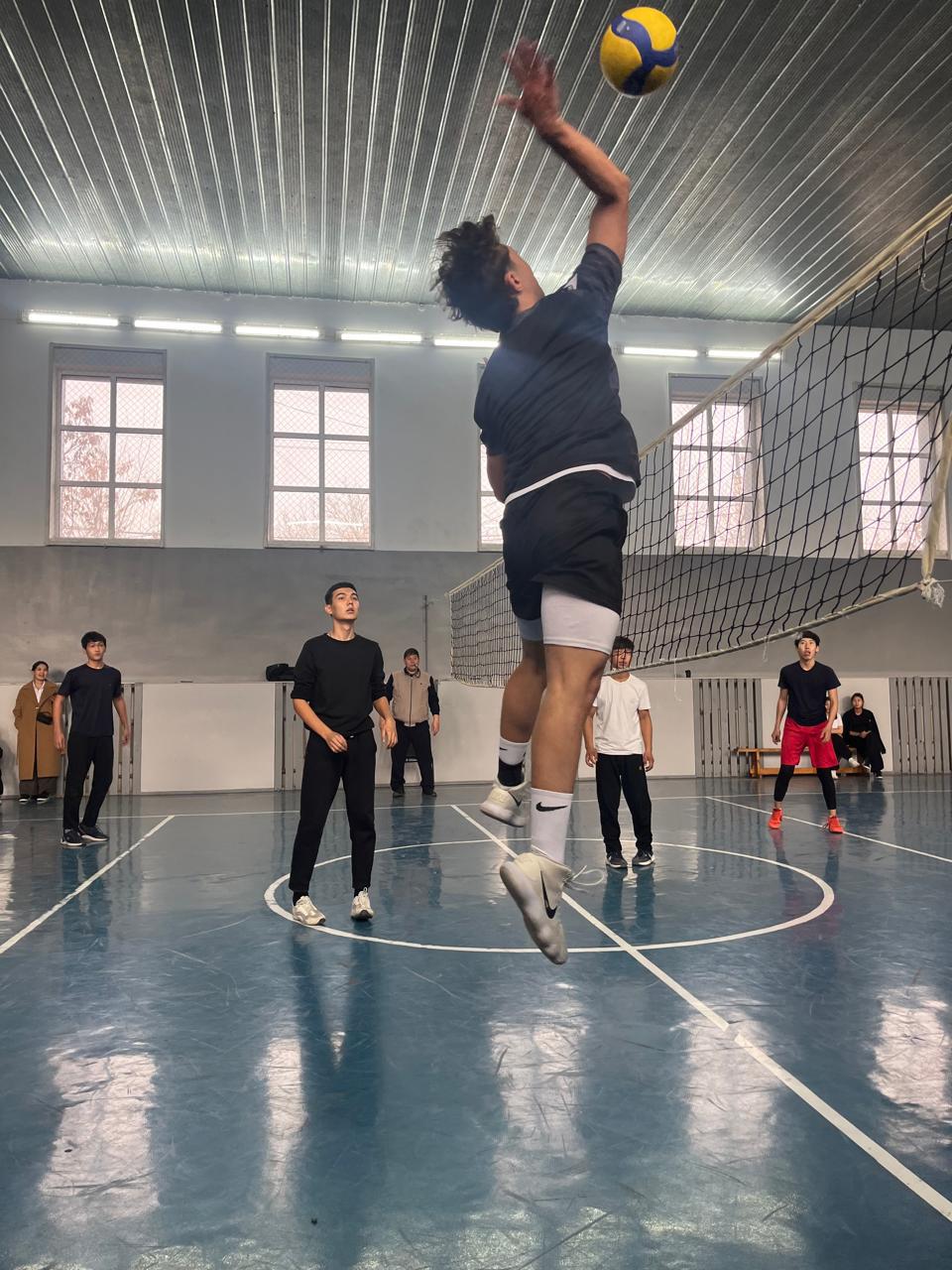 Описание изображения