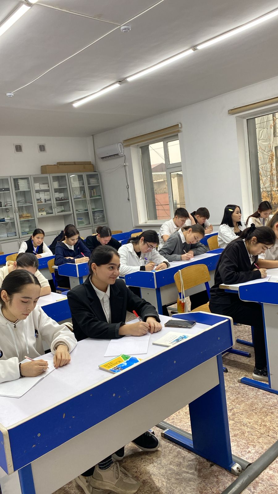 Описание изображения