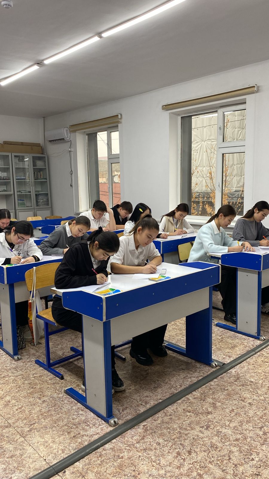 Описание изображения